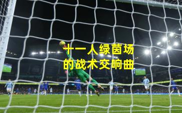十一人绿茵场的战术交响曲