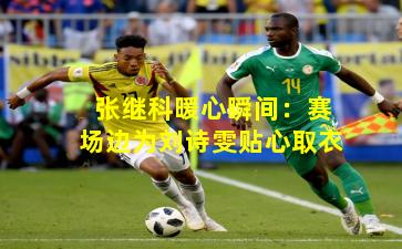 张继科暖心瞬间：赛场边为刘诗雯贴心取衣