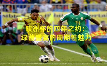 欧洲杯的四年之约：绿茵盛宴的周期性魅力
